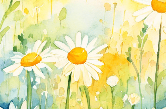 Sunny Watercolor Daisy Wildflower Collec: A Fresh Botanical Touch for Every Project